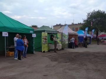 Brzeziński Festiwal Turystyczny, <p>fot. M. Starnowski</p>